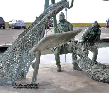 (New Zealand) National Aquarium has the largest display of New Zealand aquatic marine life at one of the premier Napier Hawkes Bay tourist attraction....