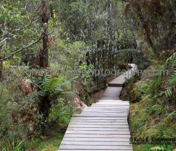 Orakei Korako - The Hidden Valley, south of Rotorua, New Zealand