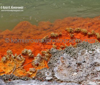 Shoreline of Champagne Pool...Wai-O-Tapu, New Zealand