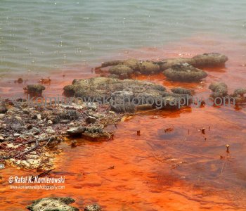 Shoreline of Champagne Pool...Wai-O-Tapu, New Zealand