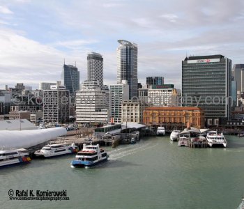 View of Auckland from deck of MS Oosterdam,  New Zealand