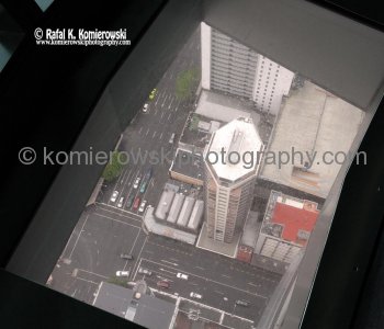 View from Sky Tower, Auckland, New Zealand