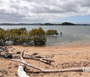 Waitangi Treaty Grounds...it was here the Treaty of Waitangi was signed in 1840