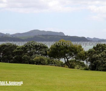 Waitangi Treaty Grounds