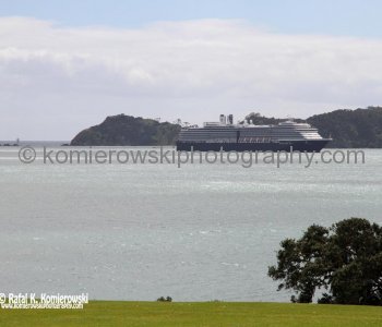Waitangi Treaty Grounds