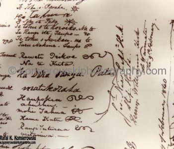 Treaty of Waitangi - Te Tiriti o Waitangi, New Zealand