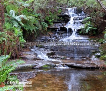 ....a small waterfall at Leura, Blue Mountains,  109 km west of Sydney in New South Wales, Australia