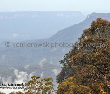 Blue Mountains, catter short-wave length rays of light which are predominantly blue in color...