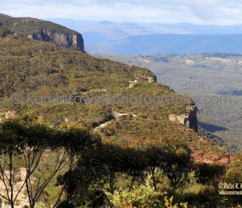 Then...next day morning welcomes us with fair weather, Blue Mountains,   New South Wales, Australia