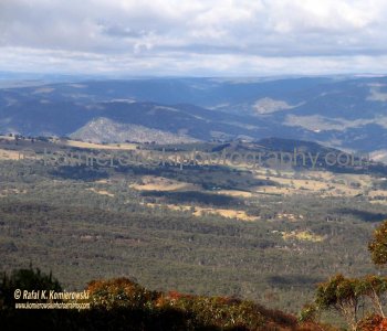 Blue Mountains,   New South Wales, Australia