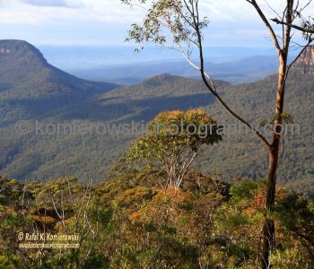 Blue Mountains,   New South Wales, Australia