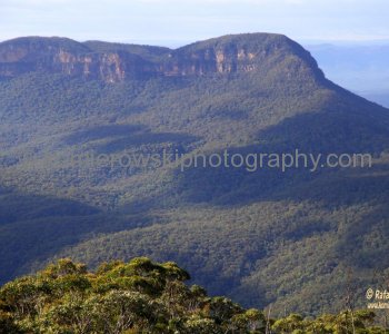 Blue Mountains,   New South Wales, Australia