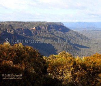 Blue Mountains,   New South Wales, Australia