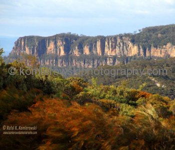 Blue Mountains,   New South Wales, Australia