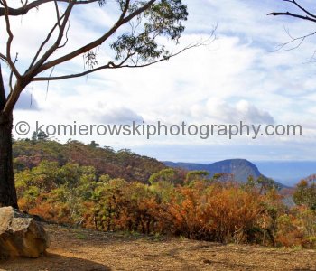 Blue Mountains,   New South Wales, Australia