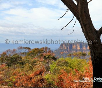 Blue Mountains,   New South Wales, Australia