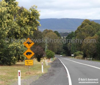 .....on the way to Jenolan Caves from Katoomba, near the Blue Mountains,   New South Wales, Australia