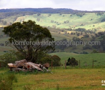 View from the highway on the way to Jenolan Caves from Katoomba, New South Wales, Australia