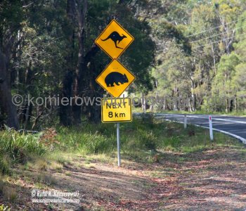 View from the highway on the way to Jenolan Caves from Katoomba, New South Wales, Australia