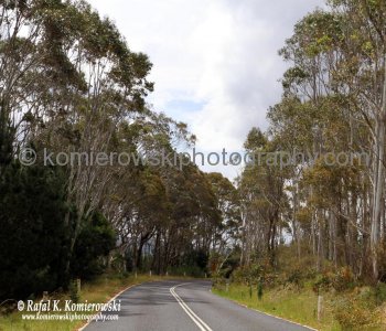 Castlereagh Highway is a state highway in New South Wales, Australia, also extending some kilometres into Queensland