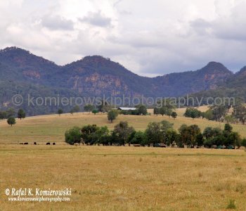 Farmland scenery viewed from Bylong Valley Way, NSW, Australia