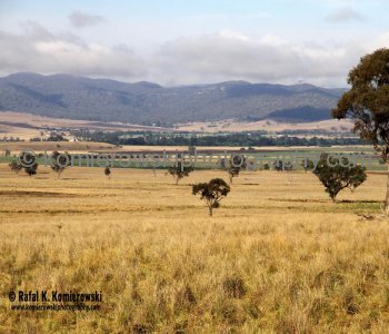 Upper Hunter Valley seen from Denman Road between Denman and Muswellbrook, NSW, Australia