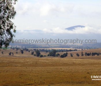 Upper Hunter Valley seen from Denman Road between Denman and Muswellbrook, NSW, Australia