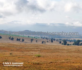 Upper Hunter Valley seen from Denman Road between Denman and Muswellbrook, NSW, Australia