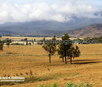 Upper Hunter Valley seen from Denman Road between Denman and Muswellbrook, NSW, Australia