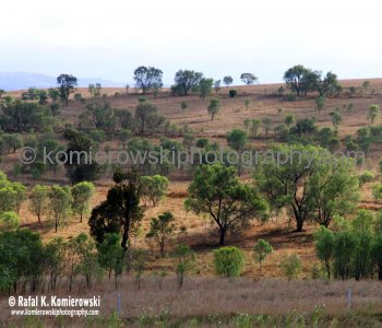 Upper Hunter Valley seen from Denman Road between Denman and Muswellbrook, NSW, Australia