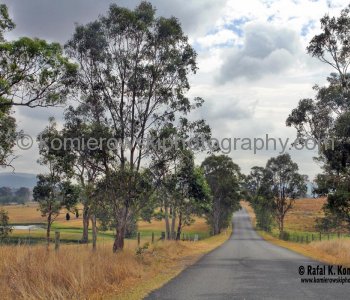 Dalwood Road pass Leconfield, on the way to Wyndham Estates. This is winery founded by George Wyndham who came to Australia in 1827, and planted a vineyard around his home, Dalwood, in the Hunter Valley.
