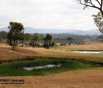 View from Dalwood Road pass Leconfield, on the way to Wyndham Estates. This is winery founded by George Wyndham who came to Australia in 1827, and planted a vineyard around his home, Dalwood, in the Hunter Valley.