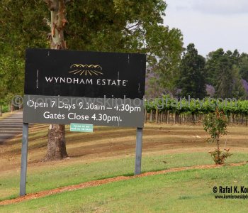 Birthplace of Australian Shiraz. Wyndham Estate Winery in the Hunter Valley Wine Country, NSW, Australia