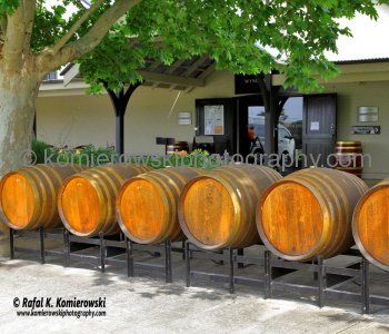 Birthplace of Australian Shiraz. Wyndham Estate Winery in the Hunter Valley Wine Country, NSW, Australia