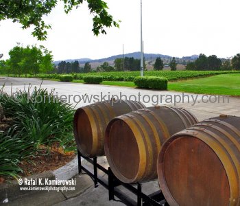 Birthplace of Australian Shiraz. Wyndham Estate Winery in the Hunter Valley Wine Country, NSW, Australia