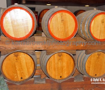 Birthplace of Australian Shiraz. Wyndham Estate Winery in the Hunter Valley Wine Country, NSW, Australia
