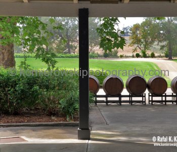 Birthplace of Australian Shiraz. Wyndham Estate Winery in the Hunter Valley Wine Country, NSW, Australia