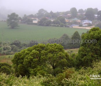 Near Dorrigo, NSW, Australia (rain - local spring time - November 10, 2012)