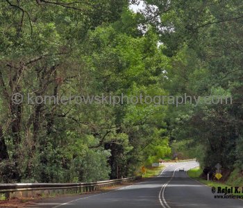 On the way to Murwillumbah, New South Wales, Australia,  (November 11, 2012)