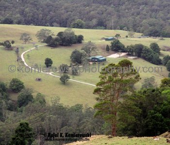 Murwillumbah is rich dairy, sugar cane and banana country, New South Wales, Australia,  (November 11, 2012)