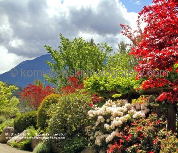 Nakusp...a vibrant commercial area created around the downtown core provides an attraction for visitors and local residents