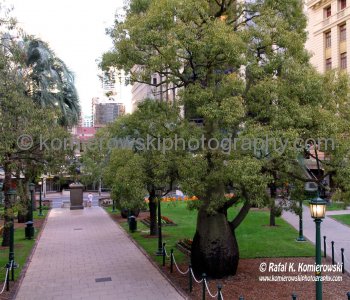Brisbane,  Queensland, Australia (Nov. 11, 2012)