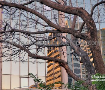 Brisbane,  Queensland, Australia (Nov. 11, 2012)