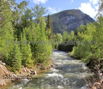 Cariboo Creek in Burton