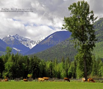 Spectacular view of McCormack Farm and Devils Range,  Burton