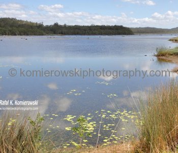 Buderim Conservation Park, Queensland, Australia (located near Buderim on the way to Maroochydore)