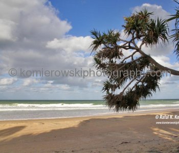 Coral Sea, Rainbow Beach, Great Sandy National Park, Queensland, Australia
