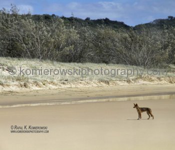 Fraser Island - UNESCO World Heritage Site, Queensland, Australia