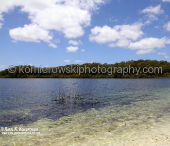 Fraser Island also has a variety of freshwater dune lakes which are exceptional in terms of number, diversity and age...