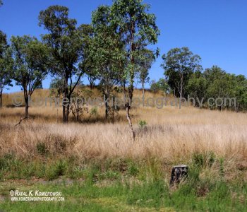 Scenery along Bruce Highway...on the way to Rockhampton....